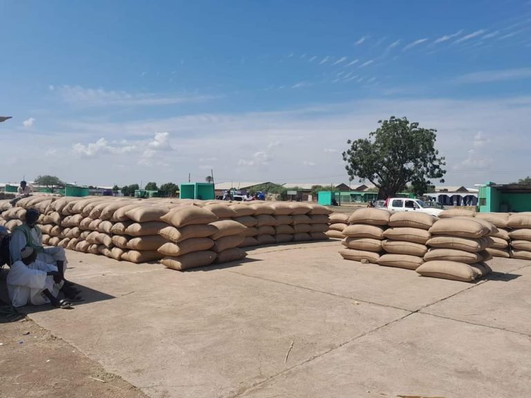 100 kg jute bags with three blue stripes for Sudan agricultural commodities packaging items ethically produced by Asia Jute